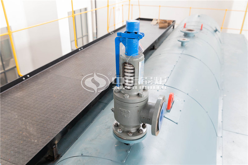 200萬(wàn)大卡燃?xì)鈱?dǎo)熱油鍋爐生產(chǎn)廠(chǎng)家